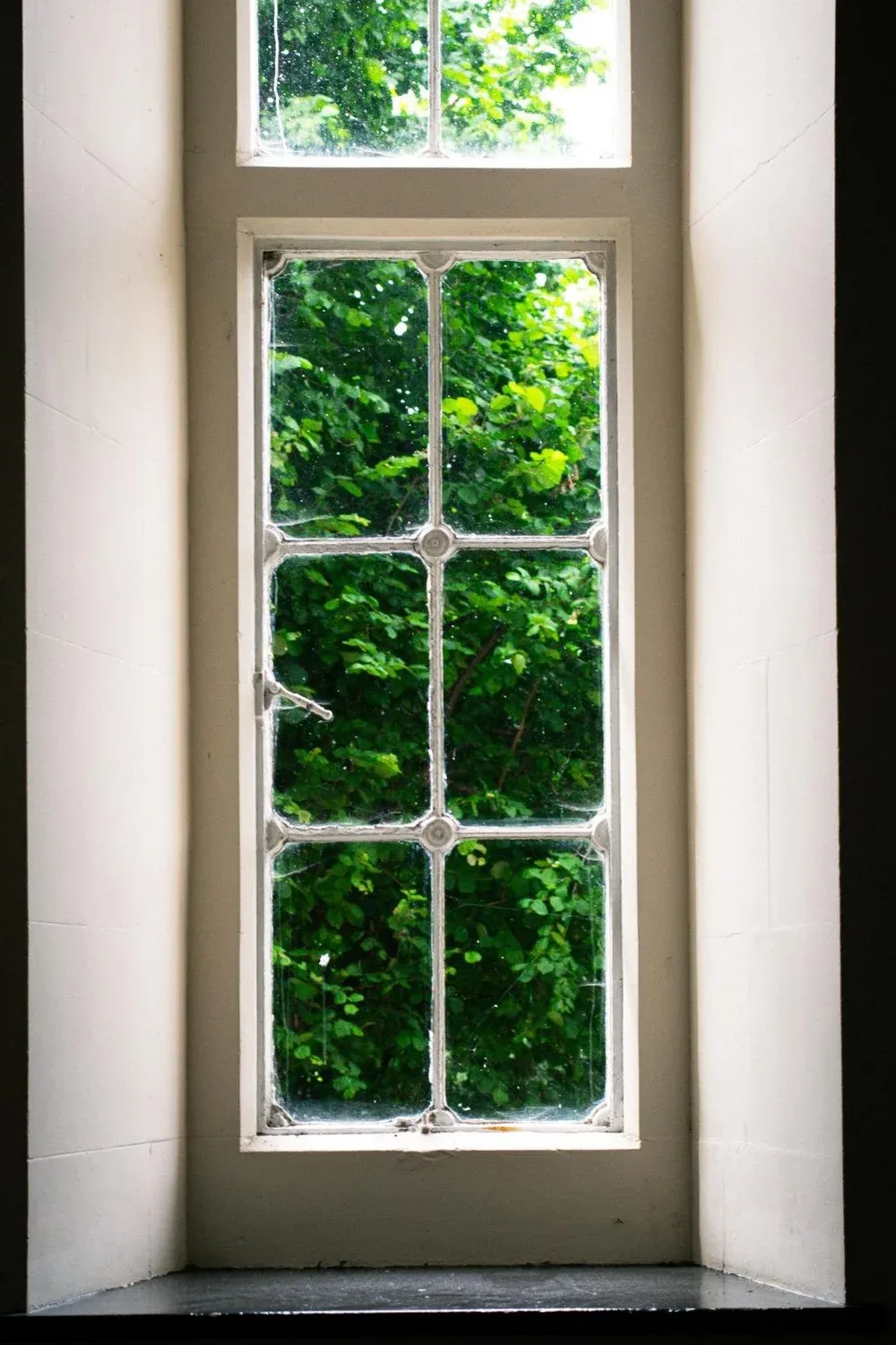 Tall arched window in the club looking out onto trees on Wandsworth Common